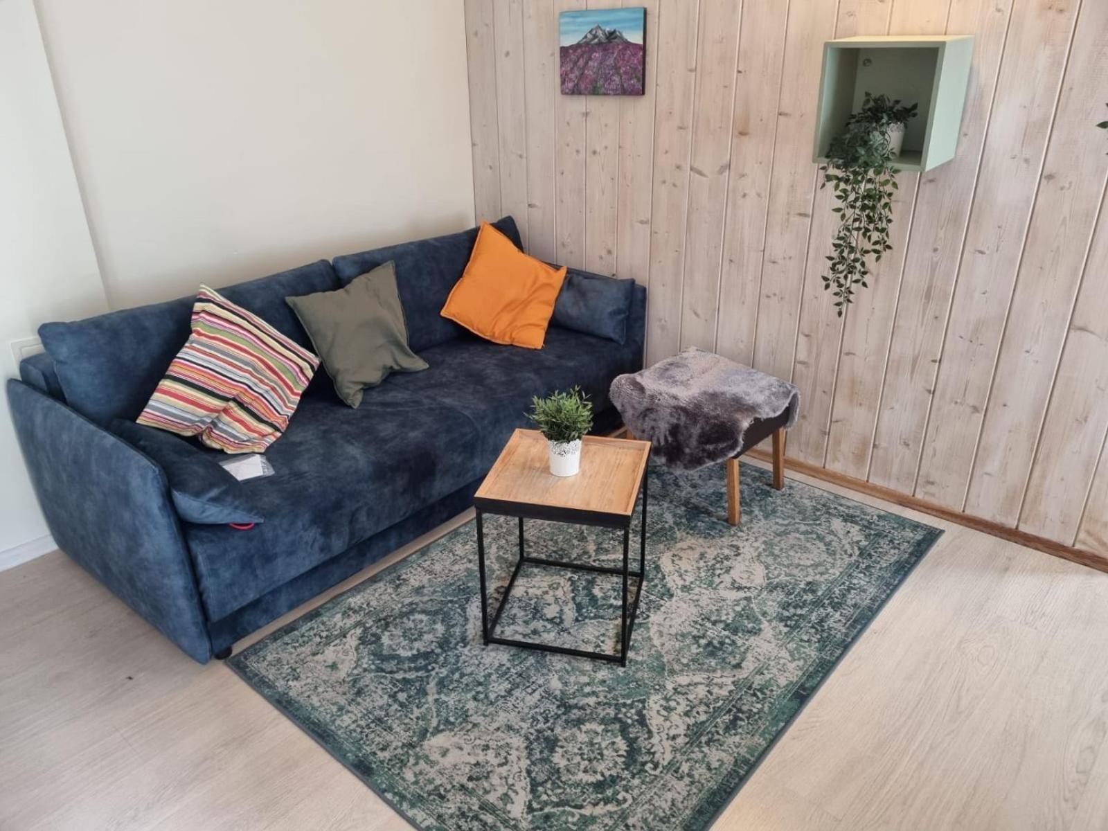 Igo Apartment Townhall Вильнюс Экстерьер фото
